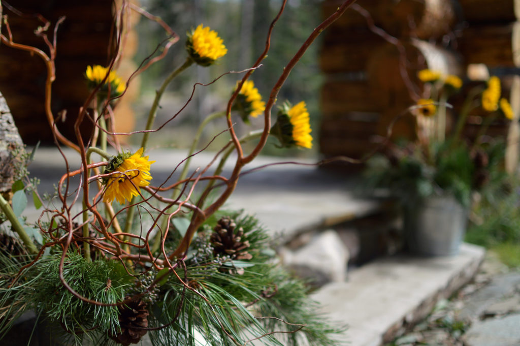Curly willows in an arrangement with sunflowers on porch