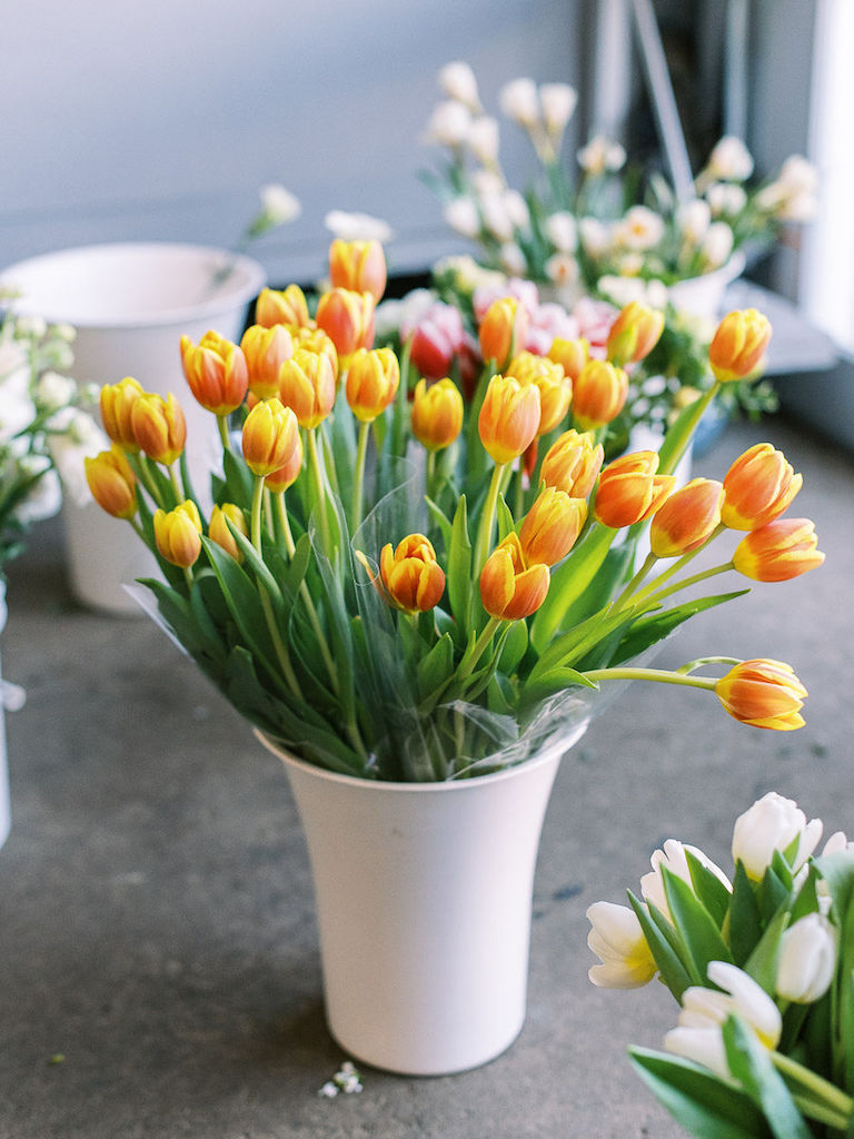 Tulips rest in a white bucket