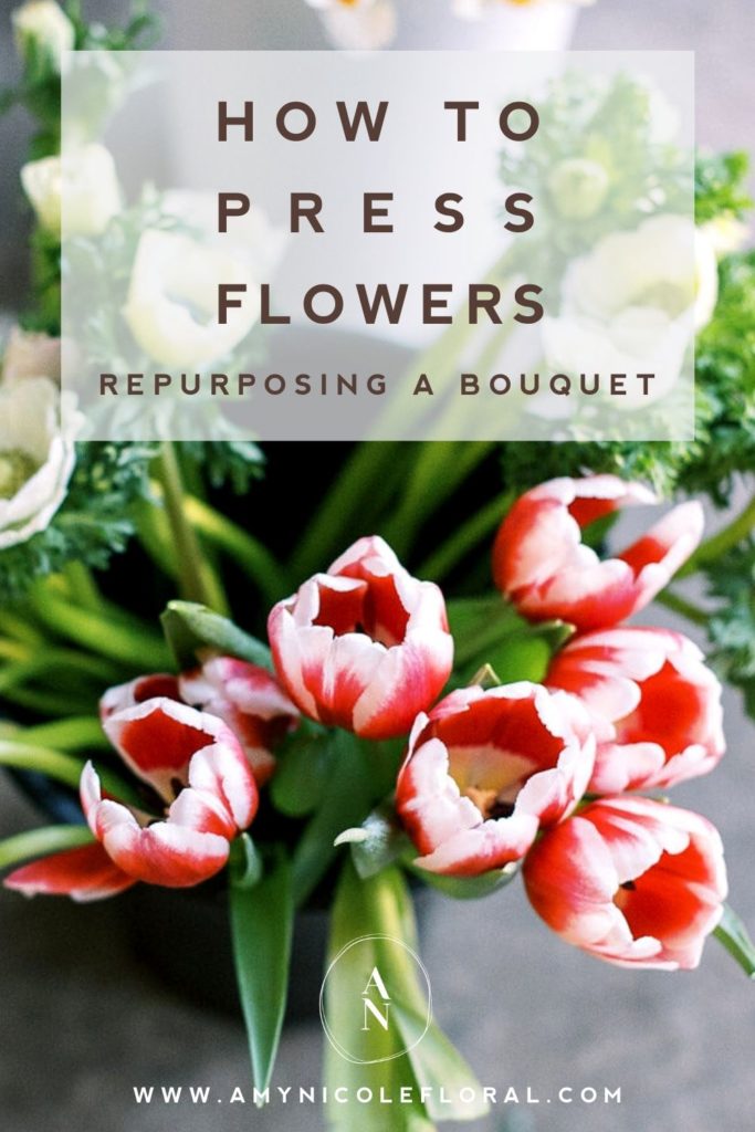 A photo of red and pink tulips from Amy Nicole at Amy Nicole Floral overlaid with text that reads How to Press Flowers: Repurposing a Bouquet.