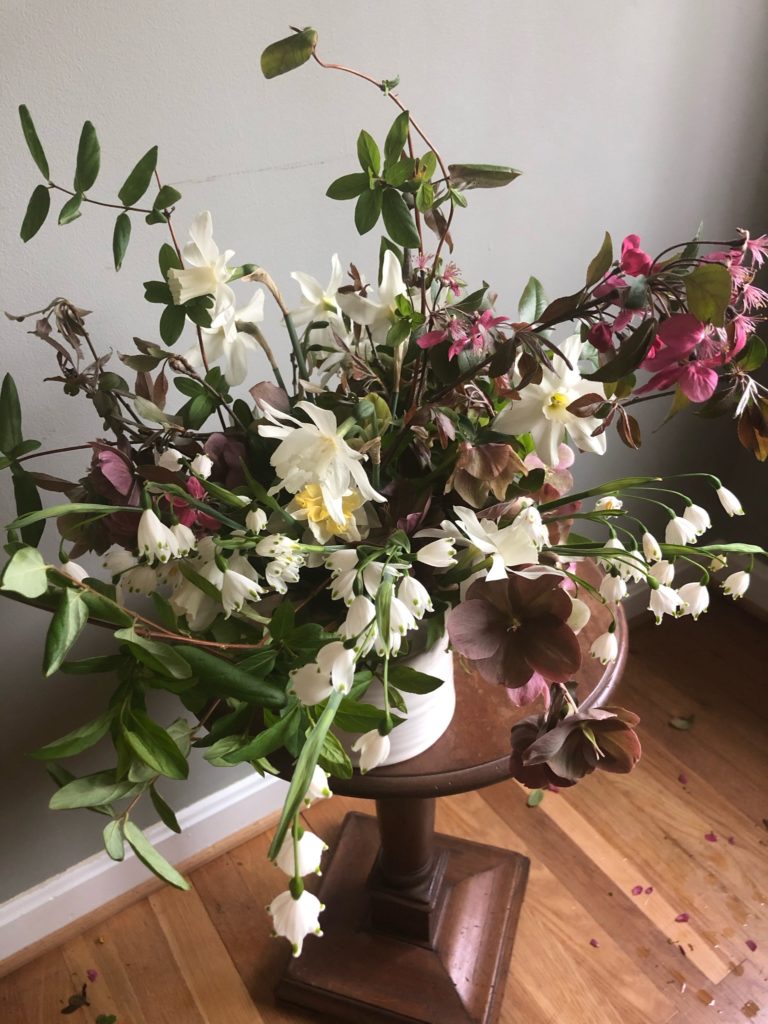 How to Salvage, Hydrate, and Design with Hellebore from Amy Balsters, The Floral Coach®
