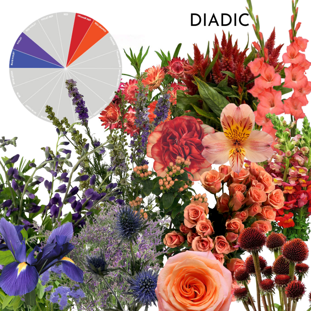 Diadic floral arrangement featuring flowers in purple and orange hues, with a color wheel illustrating the diadic color scheme.